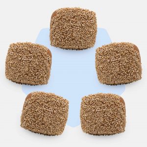 echt jetzt! Bio Sesamsemmeln glutenfrei 5 Stück